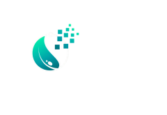 Fetsi Access
